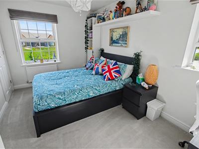 Picture 14